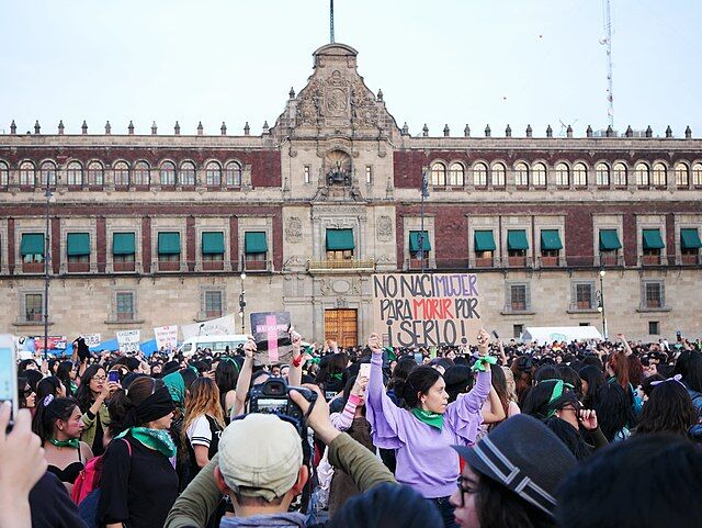 640px-Femicide_Protest_Zocalo-_protester_with_sign.jpeg